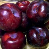 Саджанець Cлива Анжеліно Диплоїдна в контейнері